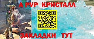 стаф Кингисепп