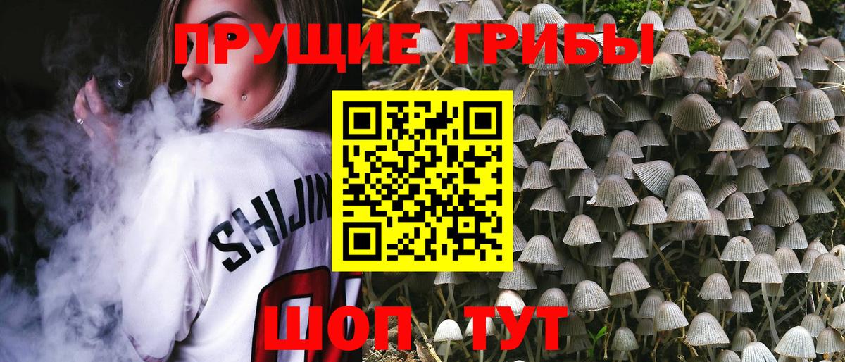 Галлюциногенные грибы Magic Shrooms Орск