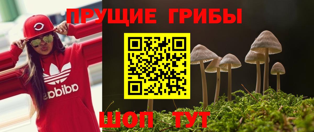 Галлюциногенные грибы мицелий Орск